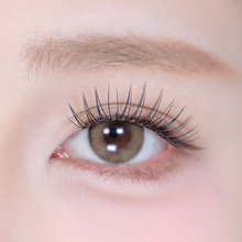 Load image into Gallery viewer, Char. - Dreamy Dove