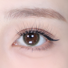 Load image into Gallery viewer, Char. - Swallow's Tail